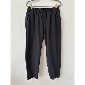Lululemon Lab Ashta Pant Mens Medium Black Gorpcore Joggers